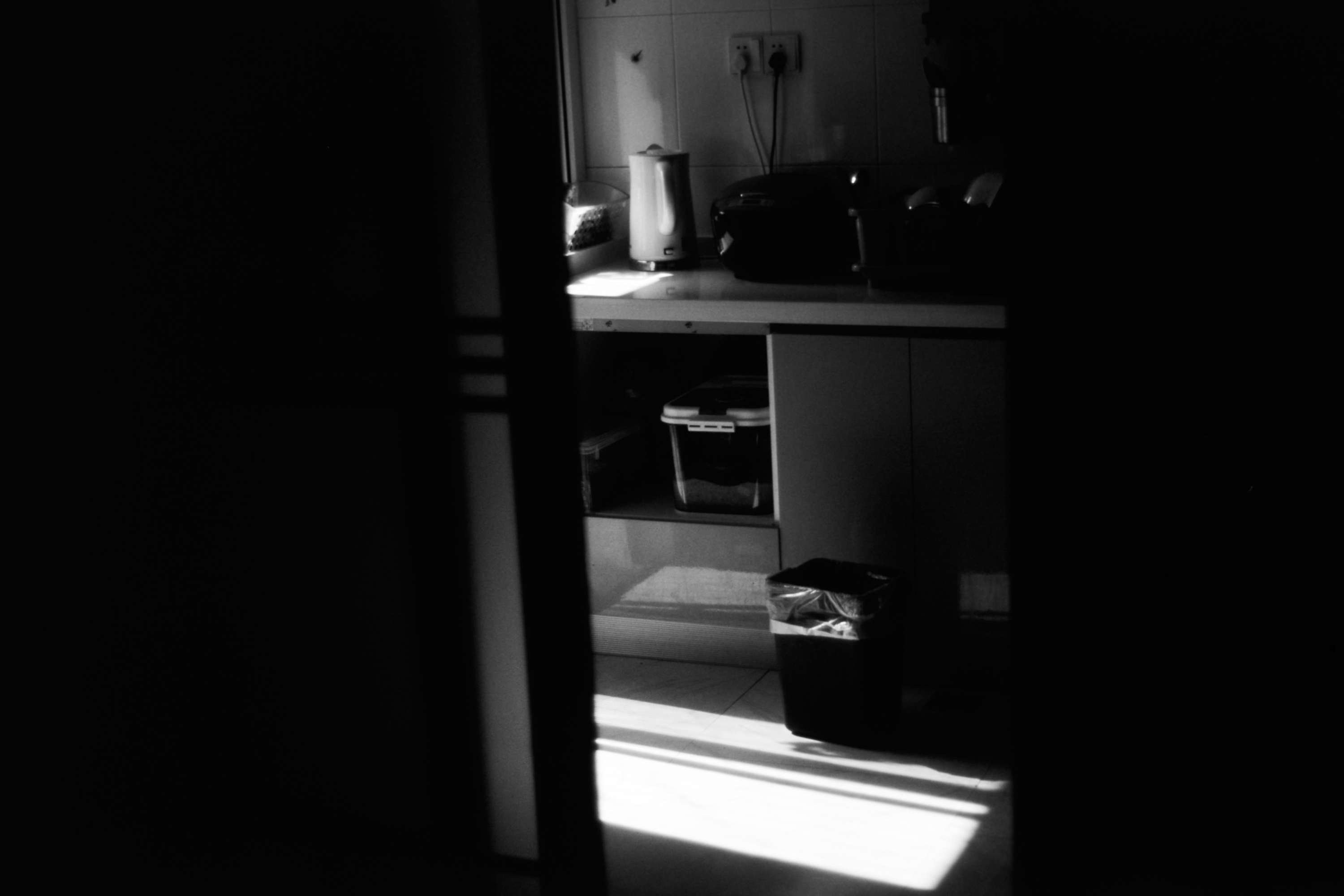 Nikon FM2 + foma200 负片正冲